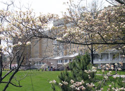 Dogwoods frame the main entrance to the historic French Lick Springs Hotel in Orange County. (Photo by Patricia Happel Cornwell) 